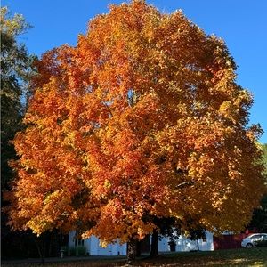 Meet your Posher, Kandi